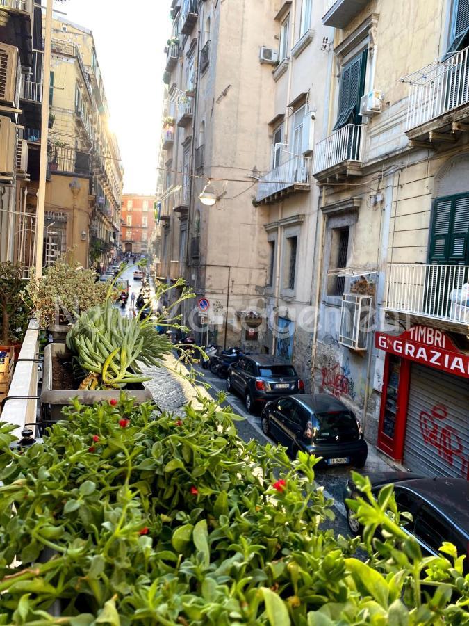 Caprese Experience - Light Blu Apt - Dante Napoli Dış mekan fotoğraf